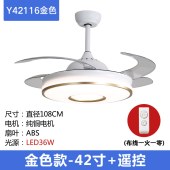 轻奢变频风扇灯客厅主灯隐形新款吊扇灯餐厅卧室灯具