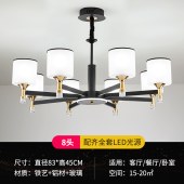 现代简约吊灯客厅灯卧室灯餐厅灯饰家用房间LED灯具