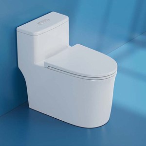 抽水普通马桶坐便器家用虹吸式普通马桶