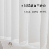 垂直百叶梦幻帘 智能电动梦幻帘防水蕾丝布艺纱帘