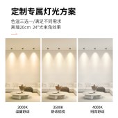 深防眩cob聚光灯 家装嵌入式背景墙射灯