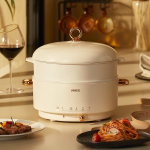 多功能电火锅 家用插电料理电火锅