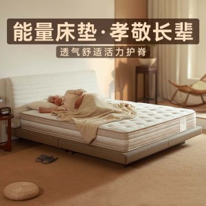 活力护脊竹炭椰棕床垫 袋装弹簧家用长辈环保净味床垫