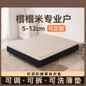 护脊偏硬黄麻床垫 环保防螨可拆洗榻榻米床垫