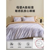 现代轻奢长绒棉四件套 100支纯棉床品套件