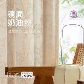 田园防晒隔热纱帘镜面纱窗帘透光不透人书房客厅阳台奶油色窗