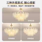 法式羽毛型水晶吊灯 现代轻奢房间全铜玻璃复古灯LED灯具