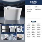 全自动洗屁股轻智能马桶座坐便器 独立妇洗双管双喷