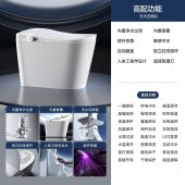 全自动洗屁股轻智能马桶座坐便器 独立妇洗双管双喷
