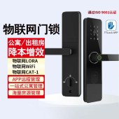 纹锁c级芯锁学校宿舍智能锁电子锁公寓民宿智能门锁通通锁