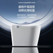 全自动洗屁股轻智能马桶座坐便器 独立妇洗双管双喷