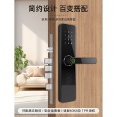 纹锁c级芯锁学校宿舍智能锁电子锁公寓民宿智能门锁通通锁