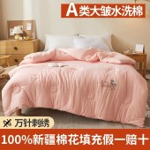 新疆棉花被长绒棉冬被单双人加厚保暖被芯春秋被新疆棉花被芯