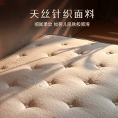 家用海绵乳胶弹簧床垫 租房民宿护脊护腰环保椰棕床垫20cm厚