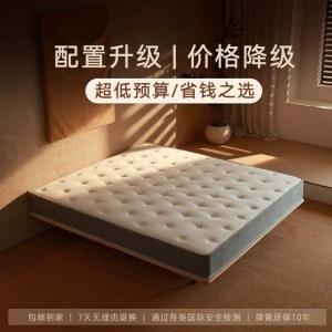 家用海绵乳胶弹簧床垫 租房民宿护脊护腰环保椰棕床垫20cm厚