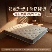 家用海绵乳胶弹簧床垫 租房民宿护脊护腰环保椰棕床垫20cm厚