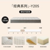 家用海绵乳胶弹簧床垫 租房民宿护脊护腰环保椰棕床垫20cm厚