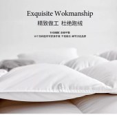 羽绒被白鸭绒被芯五星级酒店被子95白鹅绒被被褥