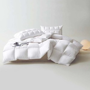 羽绒被白鸭绒被芯五星级酒店被子95白鹅绒被被褥